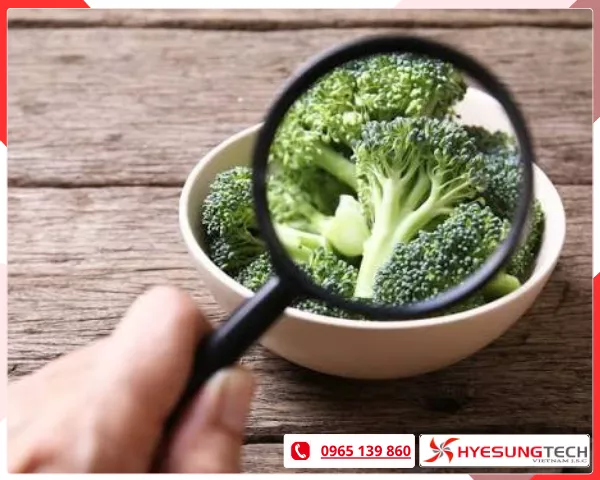 Đảm bảo an toàn vệ sinh thực phẩm
