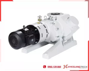 Bơm chân không Booster RUVAC WAU 2001 Leybold