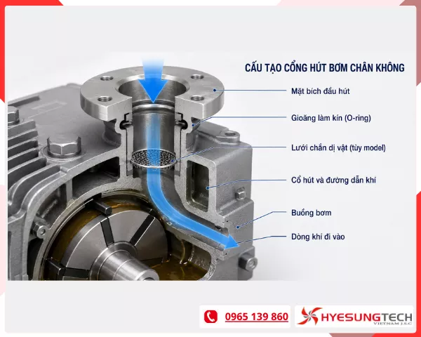 Cấu tạo cổng hút bơm chân không